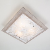 Настенно-потолочный светильник Eurosvet 2961/3 хром/серый